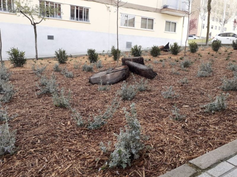 Un espacio sin uso del Barrio Blanco se transforma en una nueva zona ajardinada