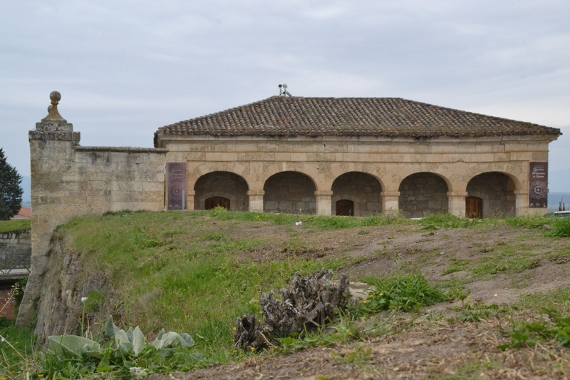 Ciudad Rodrigo se queda 14 meses después sin agujas en sus calles