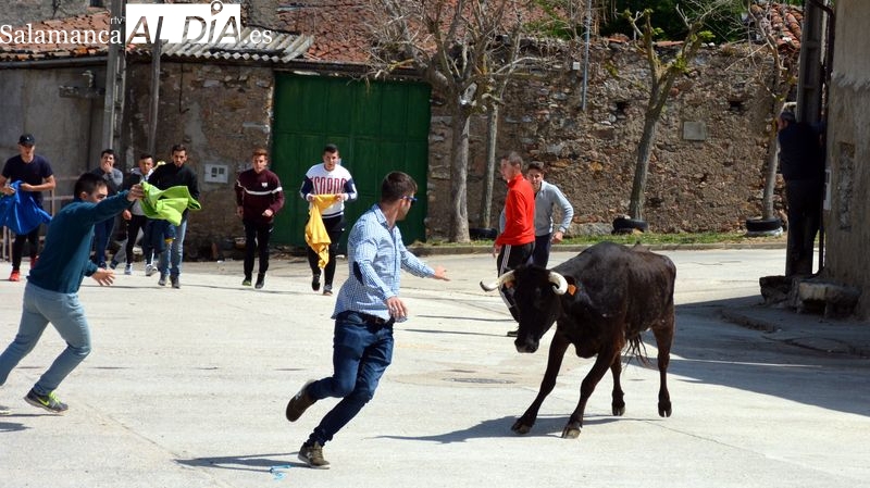 Los festejos taurinos protagonizarán las Fiestas de San Jorge en Olmedo