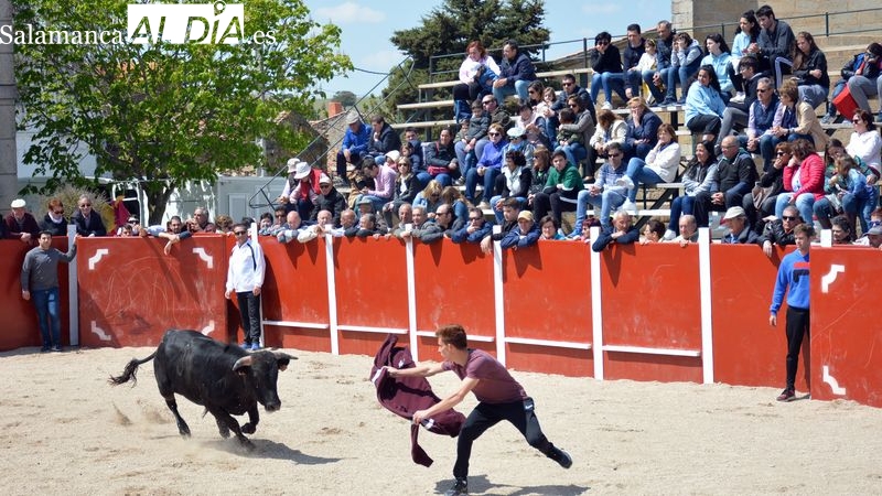 Olmedo celebrará sus fiestas de San Jorge con espectáculos taurinos