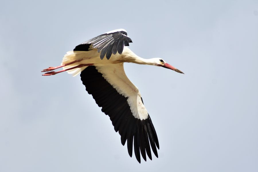 Donde nos puso la vida