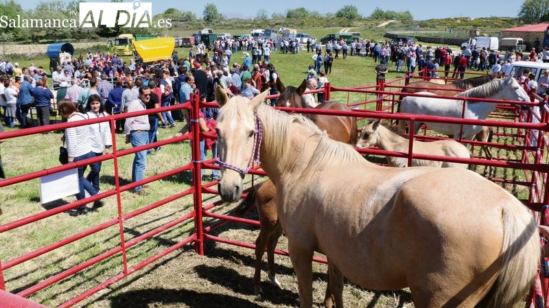 La Feria de San Felipe regresa el 1 de mayo a Barruecopardo con un completo programa de actos