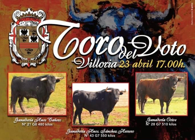 Cuenta atrás para la esperada vuelta del Toro del Voto a las calles de Villoria