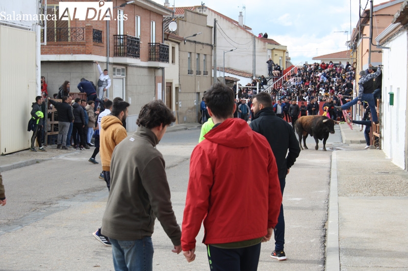 El peligroso encierro del Toro del Voto de Villoria, en imagénes
