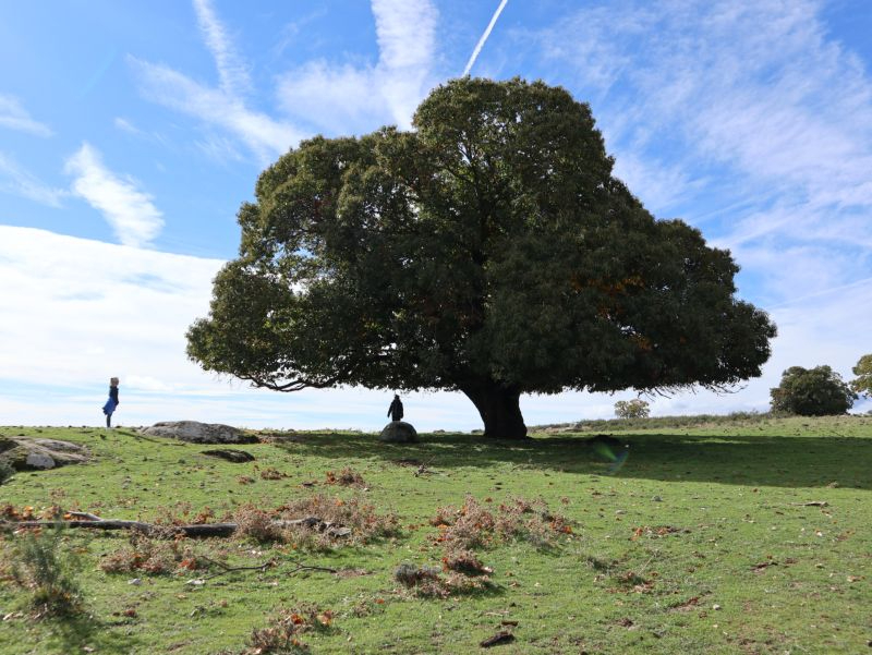 ADRISS crea una guía con 26 senderos poco conocidos de las Sierras de Salamanca