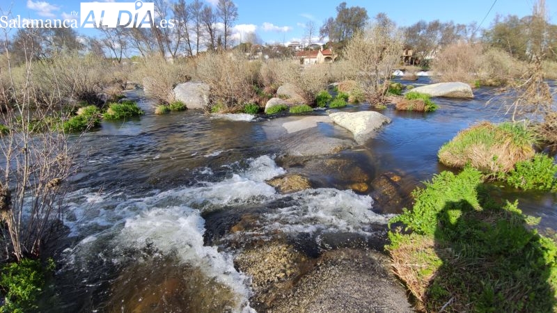 El caudal del Tormes aumenta tras las últimas lluvias y recupera el nivel de otros años