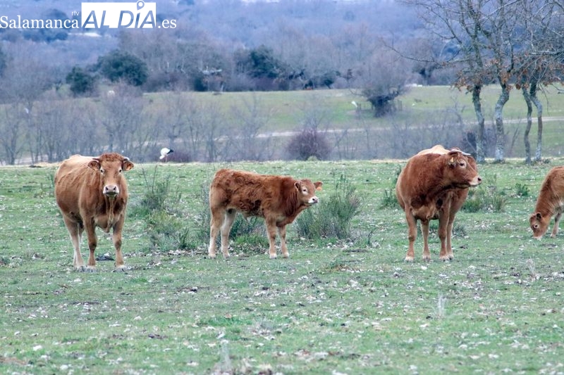 Dehesa Grande aporta conocimiento de su economía circular 