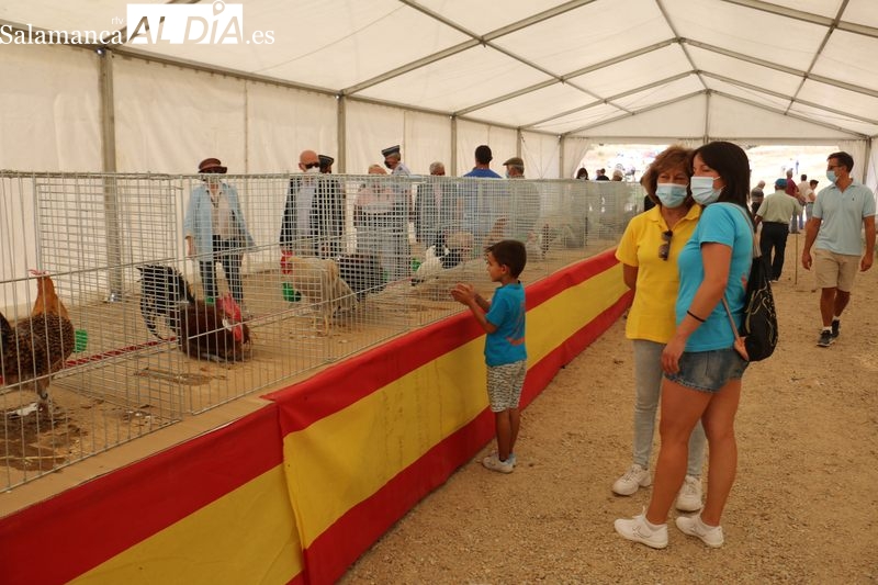 El público podrá visitar una exposición de aves en la feria del 1 de mayo de Barruecopardo