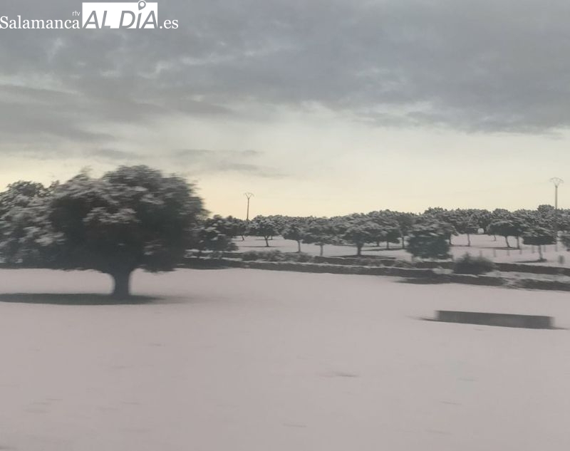 Gran nevada en la Sierra de Francia