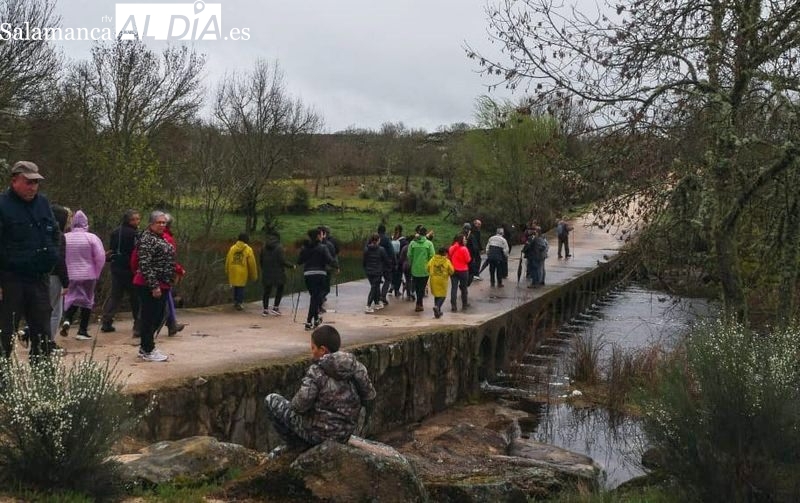 La lluvia merma la afluencia a la marcha senderista ‘Puente Palo’ en Cabeza del Caballo