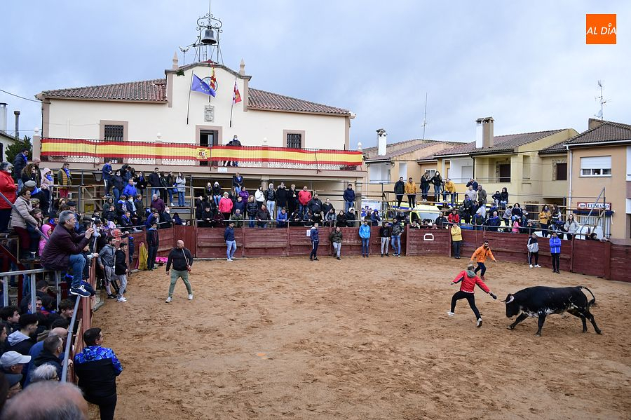 El agua da tregua a la celebración del toro del cajón en Gallegos de Argañán