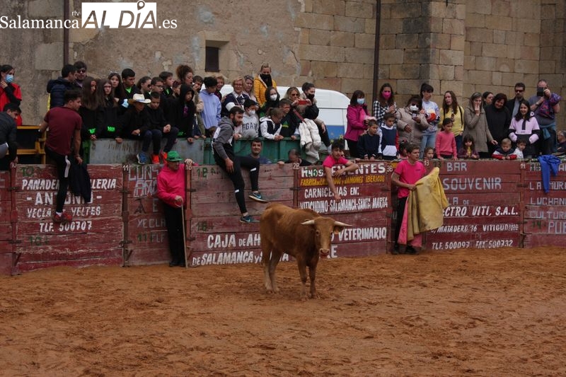 Un encierro de vaquillas anima las fiestas en Yecla de Yeltes
