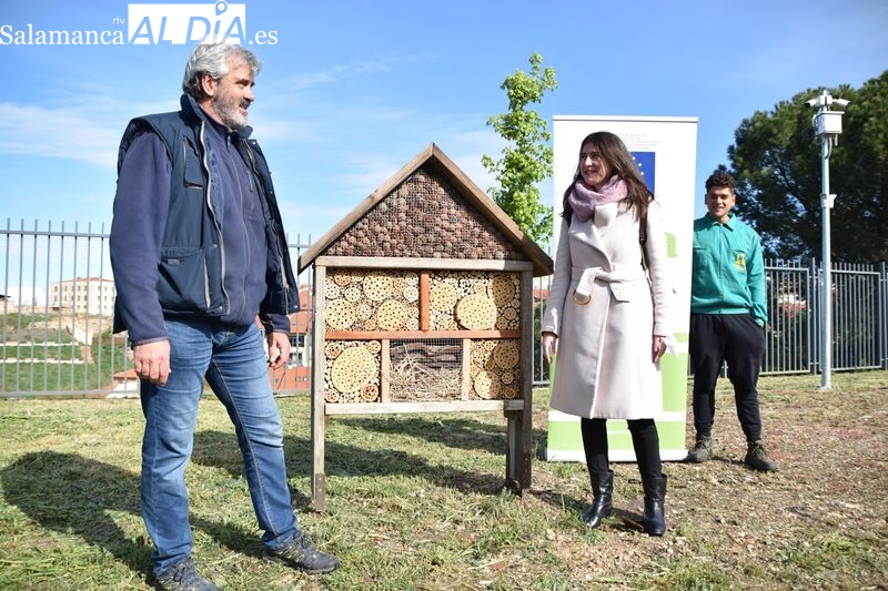 Los hoteles de insectos llegan a Salamanca