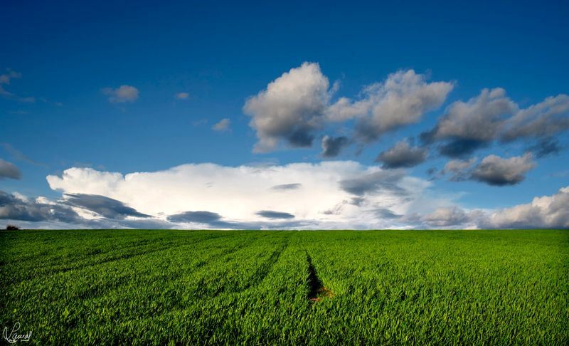 Fantasía en la realidad