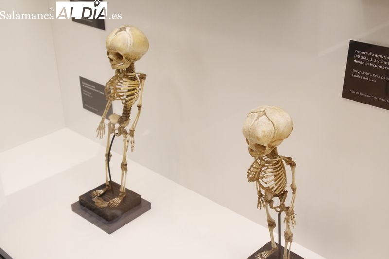 ¿Te atreves con esta exposición?