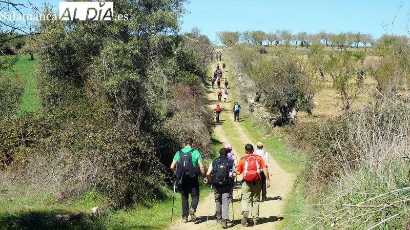 Hinojosa de Duero estrena la Ruta de los Tres Tesos en la XIII Marcha de Senderismo