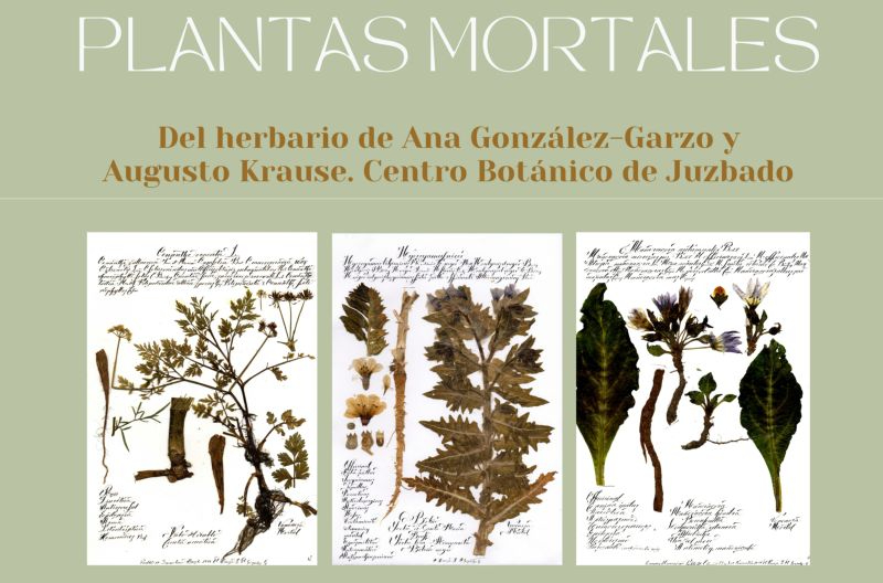 La exposición Plantas Mortales, ya disponible en Salamanca