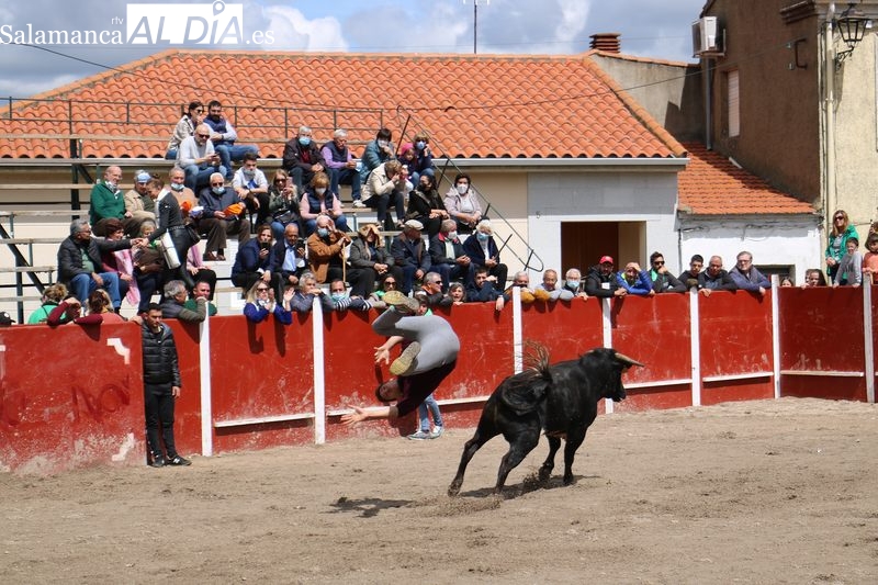 Olmedo de Camaces enfila el final de las fiestas con la emoción de un nuevo encierro