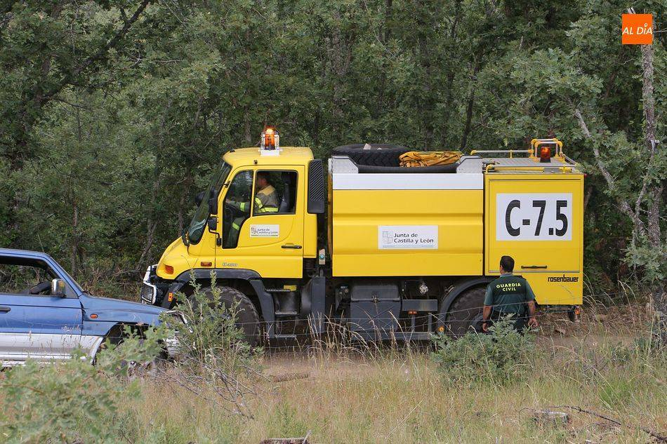 La provincia de Salamanca recibirá 3,1 millones de euros para tratamientos silvícolas en 381 hectáreas de monte 