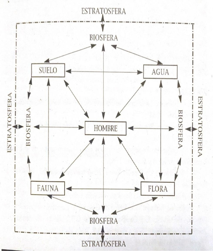 ¿Contra el ecologismo?