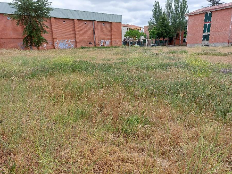 Denuncian el estado impracticable del campo de fútbol del IES Fray Diego