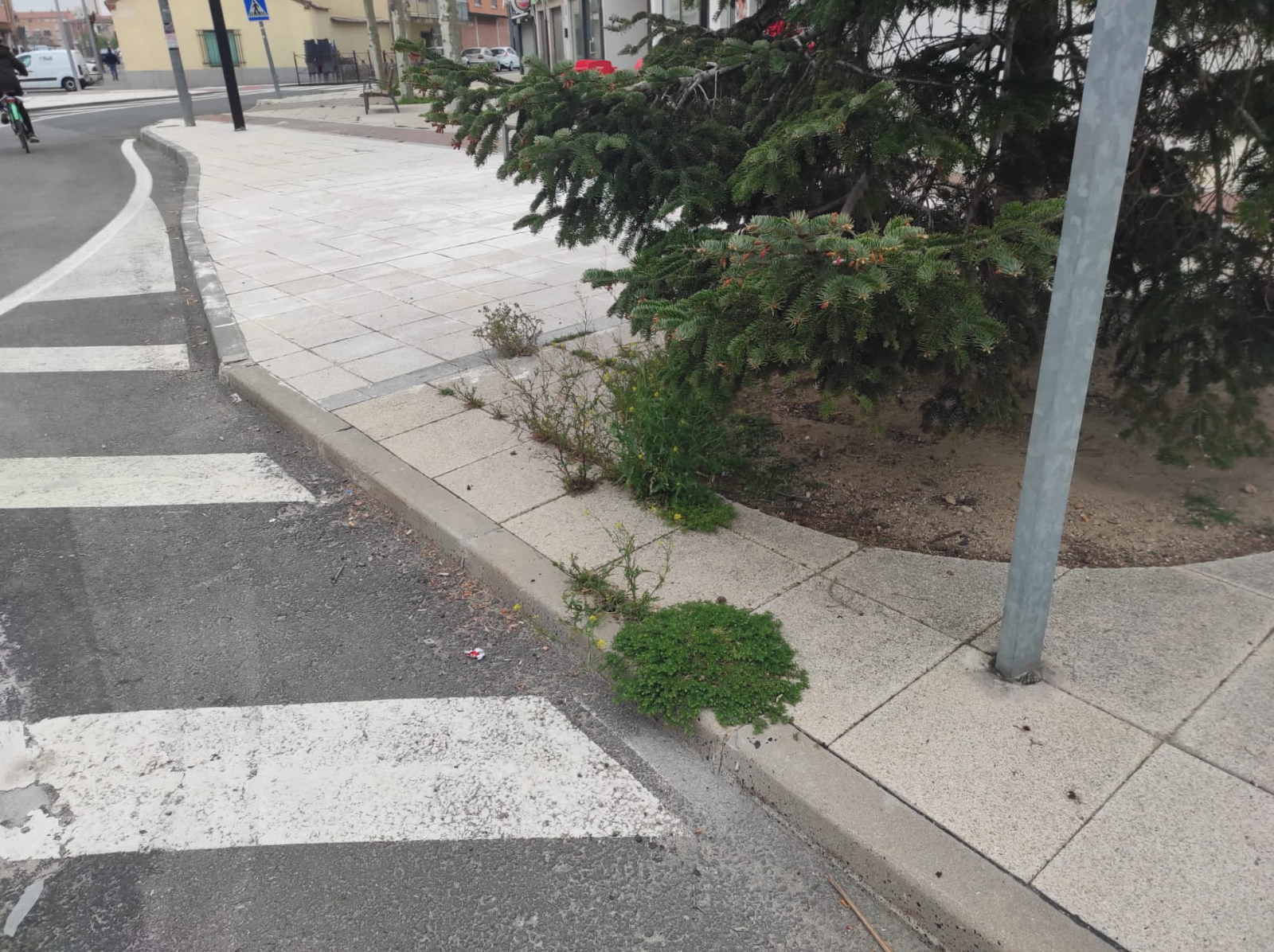 Ciudadanos pide tomar cartas en el asunto en la mejora de las zonas verdes de la ciudad