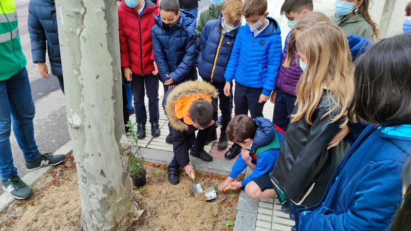 Maristas Salamanca colabora con el proyecto Alcorques Savios 
