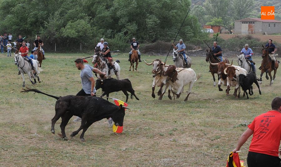 Águeda repite el completo con una tarde cargada de eventos taurinos