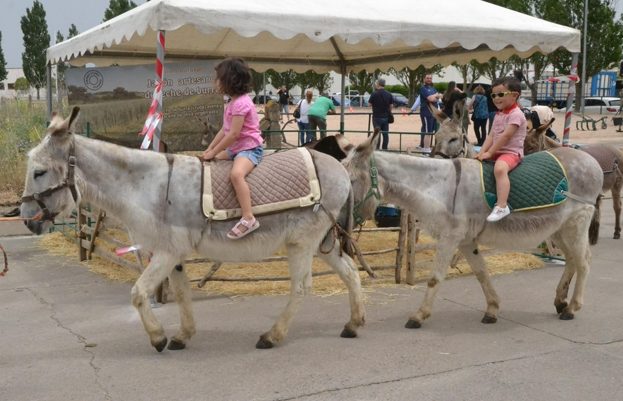 Retorna la Feria de Mayo pensándose en un cambio de fecha en años venideros