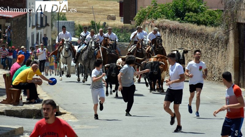 Hinojosa de Duero recupera los festejos taurinos en las Fiestas de San Juan del 2022