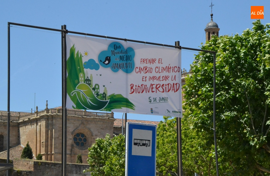 Asenavis programa varias actividades para conmemorar el Día Mundial del Medio Ambiente