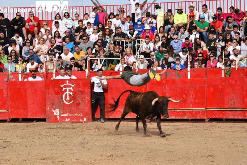 Tarde taurina en las fiestas de Villamayor 