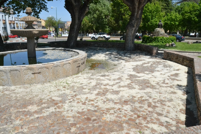 1Foto: Manto de primavera