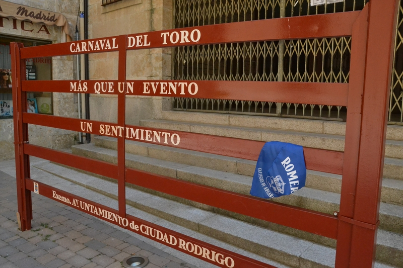 1Foto: Unión festiva