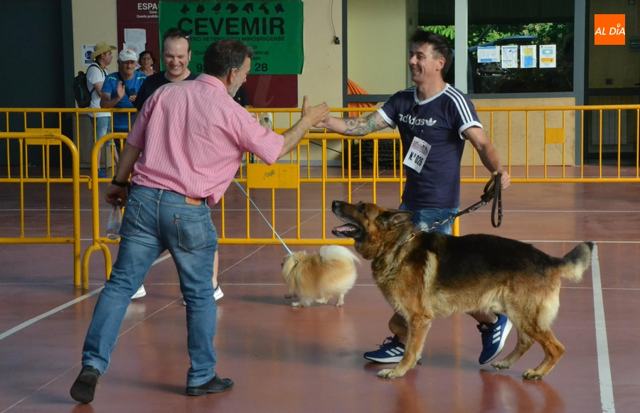 Más de una veintena de perros y dos ratas toman parte en el desfile del Día de la Mascota