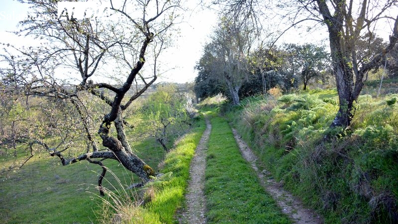 Último día para inscribirse en la VI Ruta de Senderismo de Lumbrales