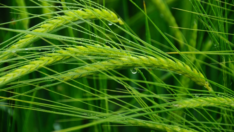  Después de la tormenta