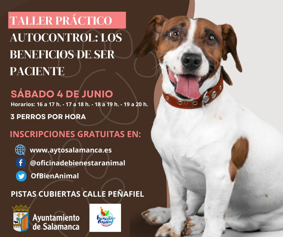 El Ayuntamiento de Salamanca ofrece un taller de autocontrol para perros