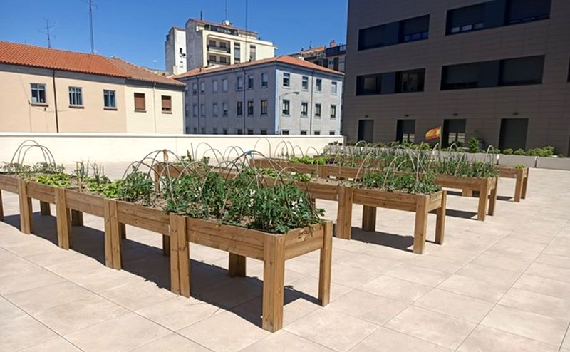 El edificio de la ciudad de Salamanca que tiene sus propios huertos urbanos