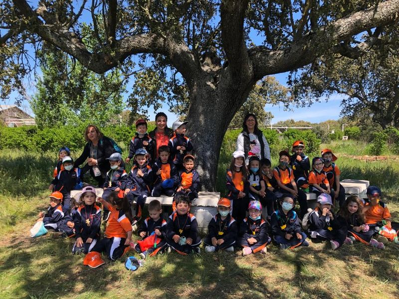 Finalizan las fiestas del colegio Antonio Machado con juegos, deporte y excursiones