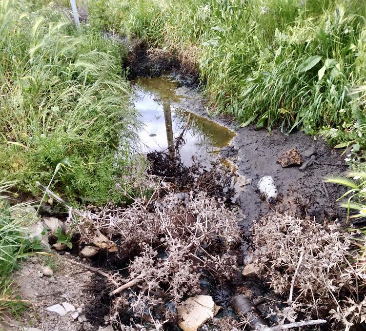 PeC denuncia la presencia de residuos tóxicos en el entorno del polígono industrial El Inestal  