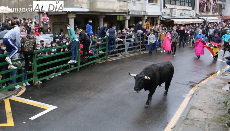 La Asociación Cultural Taurina Villa de Vitigudino presenta este viernes el cartel del VI Toro de Cajón’ del pre-Corpus