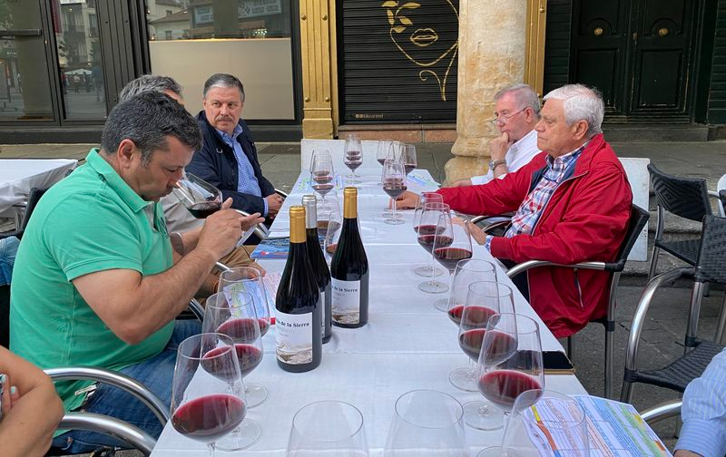 Cata vertical de Dominio de la Sierra Dominium 2.017, 2018 y 2.019 