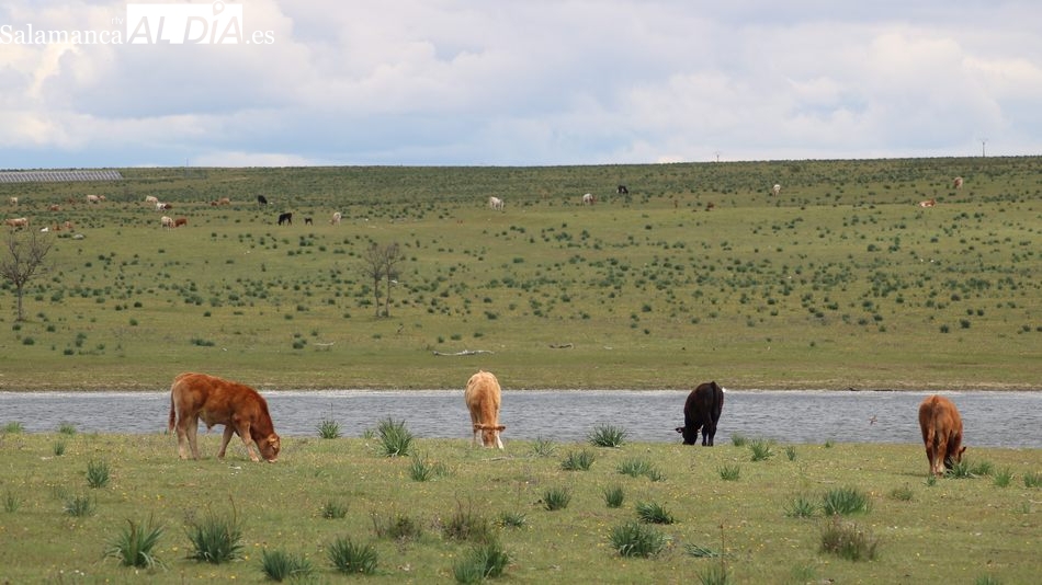 La cebada rompe la tónica en una jornada marcada por la estabilidad