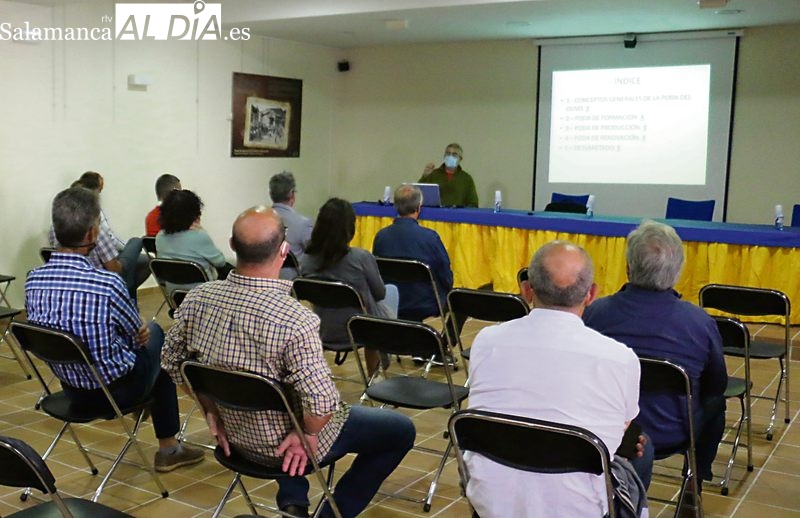 Entre las actividades previstas no faltarán las ponencias técnicas / CORRAL 