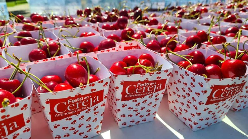 Alfândega da Fé, la cereza y el nuevo lujo rural portugués