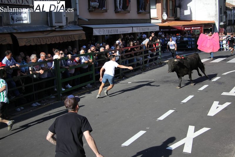 El Delegado de la Autoridad exige que no haya obstáculos en el recorrido de los encierros del Corpus de Vitigudino