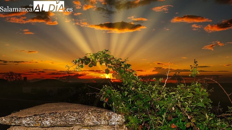 Atardecer dorado en Cabeza del Caballo