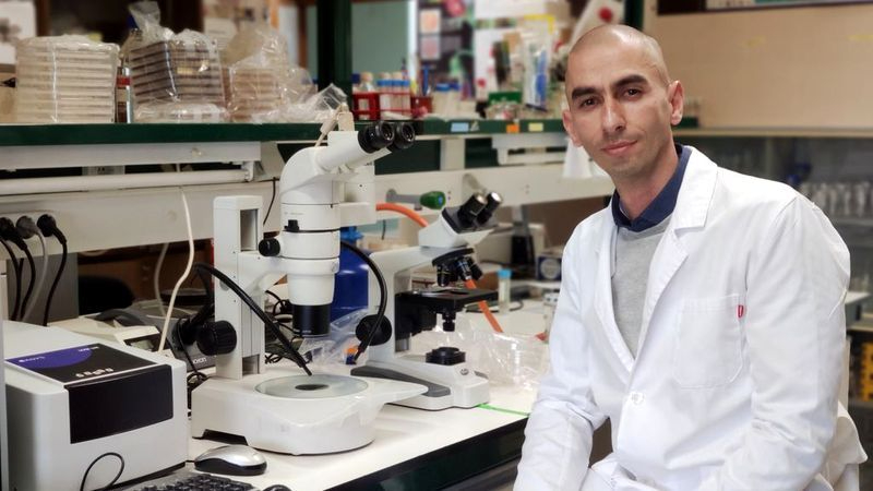 No tiene sentido vacunar a la población contra la viruela del mono ahora mismo