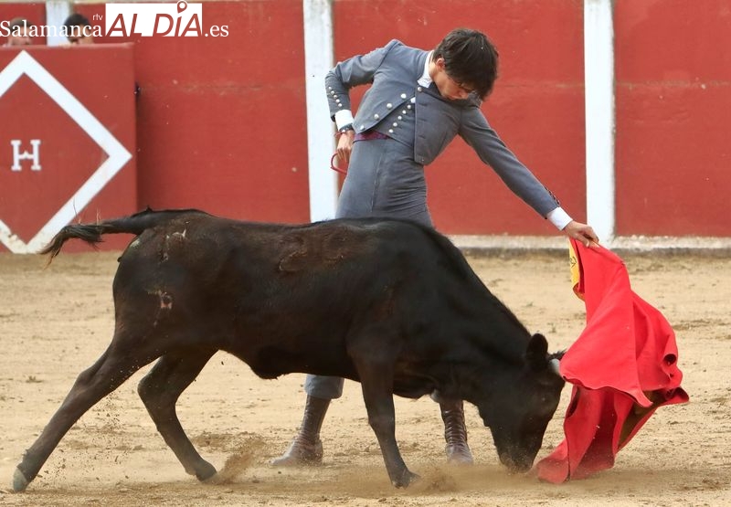 Tercera tienta del Bolsín Taurino Botijo de Filigrana